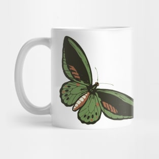 Butterfly Mug